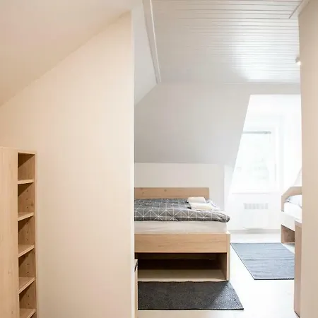 Guest house Safran Jesenik